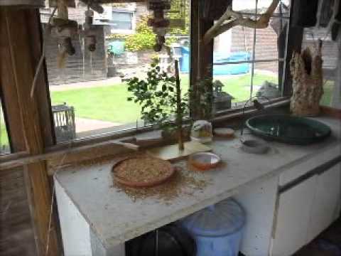 2013 07 15 Ein Bäumchen