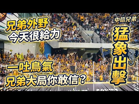 0530今天巨蛋的黃衫軍沒有極限🌟 一局打八分你敢信？#cheerleader中信兄弟