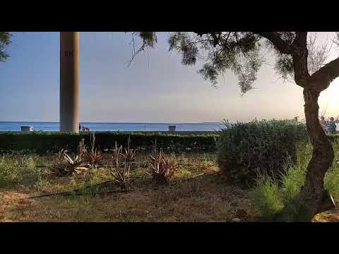 Guten Abend Mallorca vom Ballermännle #mallorca #balenario #donroberto #ballermännle