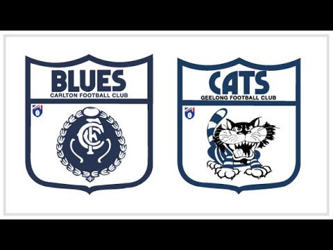 Carlton v Geelong - AFL Round 12, 1995