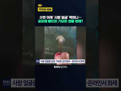 새로운 공포증 생길 것 같다? 인간 얼굴 흉내 내는 생물 정체 / KNN