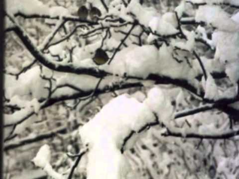 Poggio Rusco -invèran dal 58 - gianni roversi