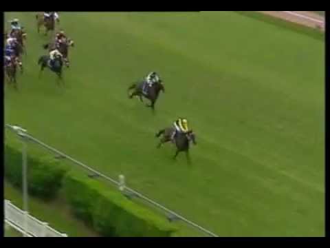 2013-01-06 Clairwood - race 8