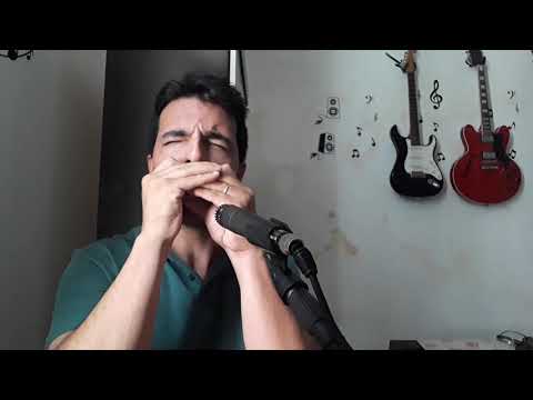 "Jesus Alegria dos Homens" na gaita