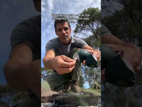 🪺The Best Way to Cook an Emu Egg. ⚠️It’s illegal to gather wild eggs (these are farmed eggs).