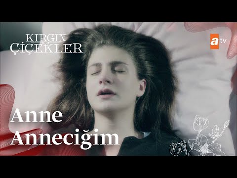 Kader'in kabusu! | Kırgın Çiçekler Mix Sahneler