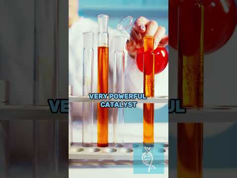 Dr. Patricia Kane is a renowned expert in the field of metallothionein. #shorts