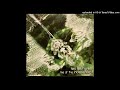 Tea Leaf Green - Asphalt Funk [Live]