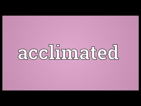 Acclimated Meaning