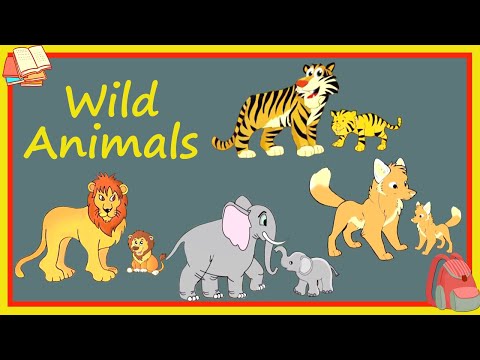 Learn About Wild Animals - Preschool Learning For Kids - Educational Video For Children