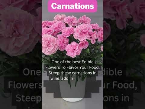 Have a Look of Best Edible Flowers for healthy lifestyle| Grow in your containers|@SwaroopaDiaries14