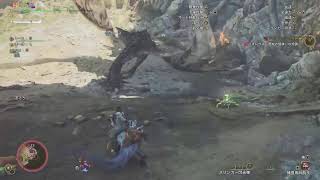 【モンハンワイルズ】鎧玉周回参加型