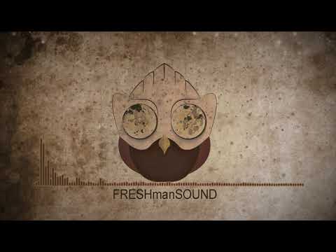 FreshmanSound - In The Shadow ( Cinematic Mysterious Action Trailer)