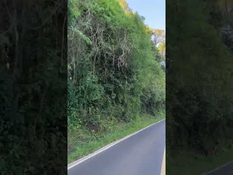 #music #lyrics #nostalgia #maringa #automobile #parana #guarapuava