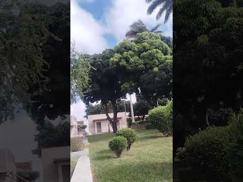 praça de Igaporã Bahia #dicas