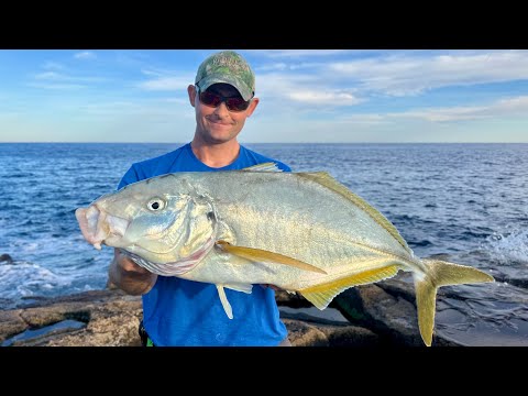 1 WEEK Shore Fishing Adventure in the Canary Islands | The Fish Locker