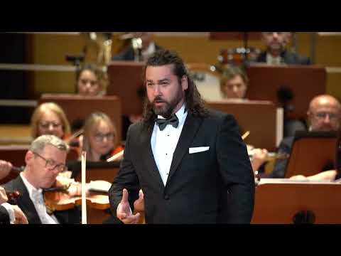 Teodor Ilincai - Vesti la giubba