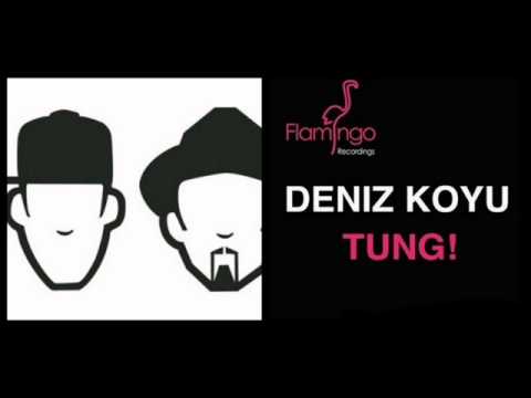 Deniz Koyu Vs Maw - Work Tung! (Iv07 Mashup)