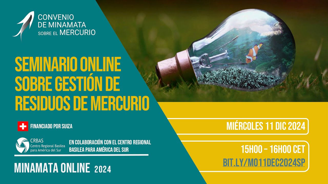 Minamata Online 4: Webinar on mercury waste management - Spanish Session