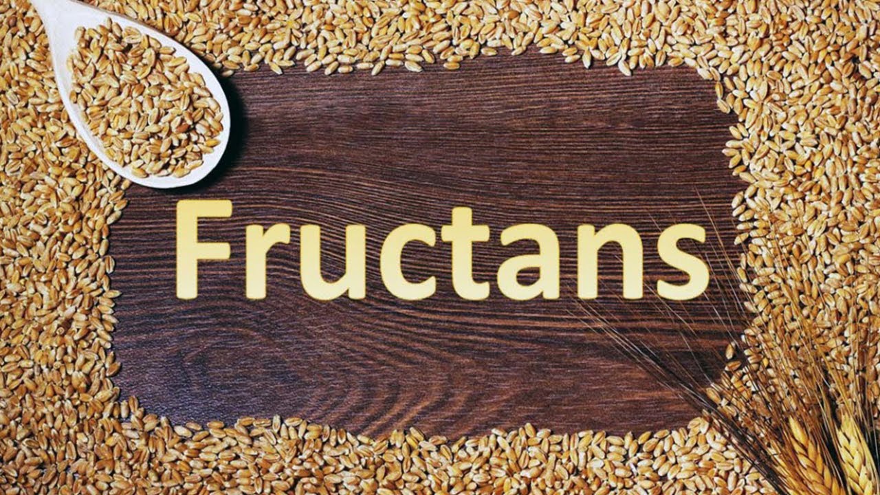 What Are Fructans? Foods To Have On A Low Fructan Diet | Boldsky - YouTube