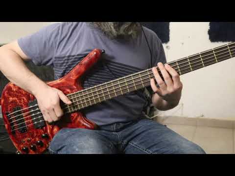 Concrete Cages - One Take Bass Performance