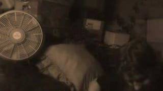 rock salt summer sault