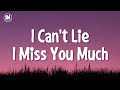 i can't lie i miss you much tiktok song