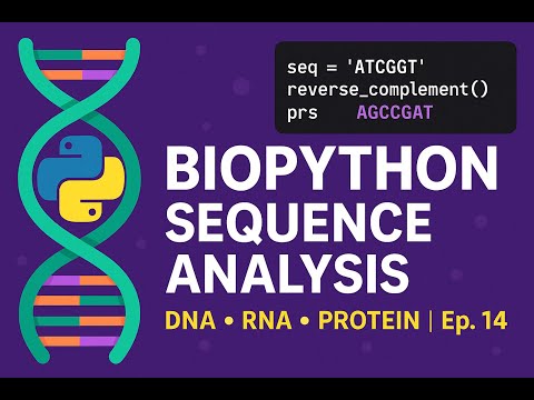 🧬 Sequence Analysis with Biopython | DNA, RNA & Protein | Bioinformatics Ep. 14