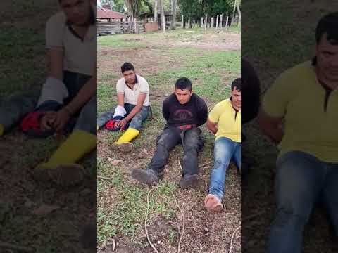 🚨Información sobre Emboscada entre FARC y ELN en Tame - Arauca