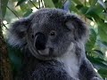 Barney Goes To Australia
