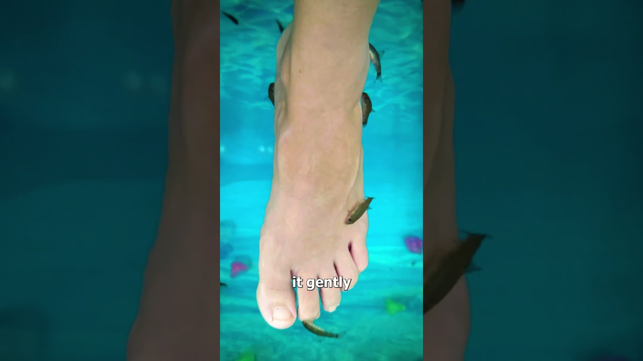 Fish Pedicures 🤔 (explained)