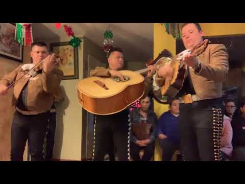 Vals Alejandra /Mariachi de Dallas (214)403-9118