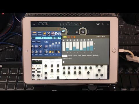 ArpBud 2 - AUv3 Midi Arpeggiator - Tutorial & Demo for iOS - Live