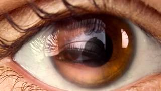 ○ - CrY  for  L O V E  --○ Omar Akram