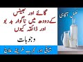 Bad Smell And Taste In Cow Buffalo Milk With Best Treatment Doodh Ki بدبو Ka Ilaj