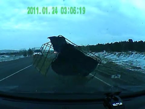 Niespodzianka na drodze