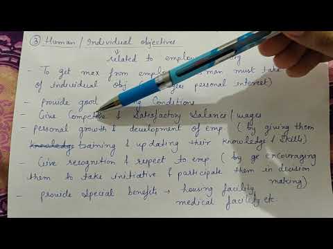 Economic and non economic activities types of human activities class 11