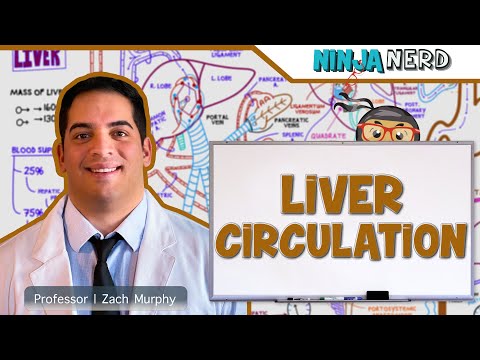 Gastrointestinal | Liver Circulation & Portal Hypertension