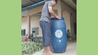 การทำข้าวโพดสับหมักเกลือ