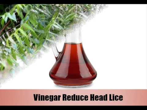 6 Natural Treatments For Removing Head Lice