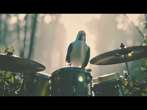 Yedinci Ev - Yavrum Sana Vuruldum (Official Music Video)