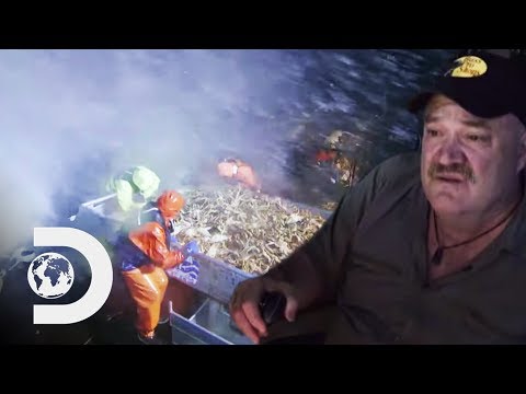 ボートが大波に襲われた後、乗組員が負傷した。 (Crewman Injured After Boat Takes Big Hit From Huge Wave | Deadliest Catch)