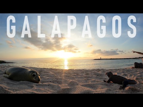 We Visited the Paradise of Ecuador - Galapagos (ep1)