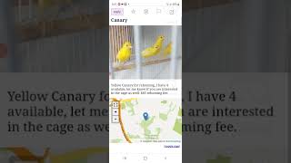 Craigslist Arguments DC