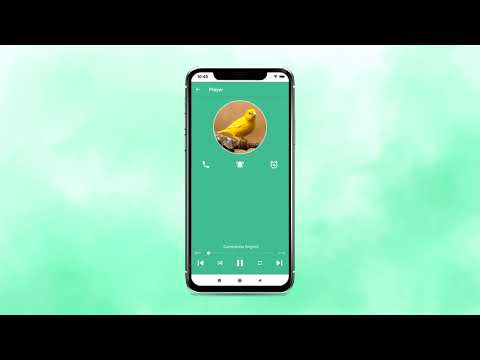 Canary Bird Belgian Corners Video
