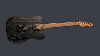 Video thumbnail for ESP LTD TE-1000 Black Blast (Quick Review) by Devan Arya