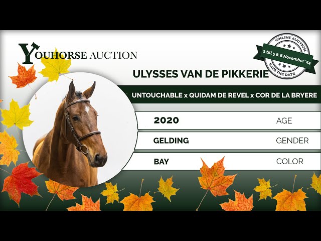 Ulysses van de Pikkerie