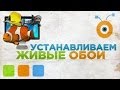 Как Установить Живые Обои в Windows 