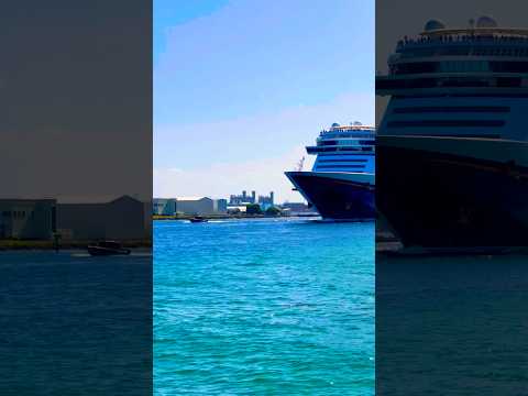 Thumbnail for Disney Dream 🛳️#like #share #comment #subscribe #cruiseship #cruise #vacation #shorts #short #video