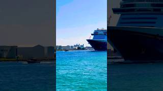 Disney Dream 🛳️#like #share #comment #subscribe #cruiseship #cruise #vacation #shorts #short #video